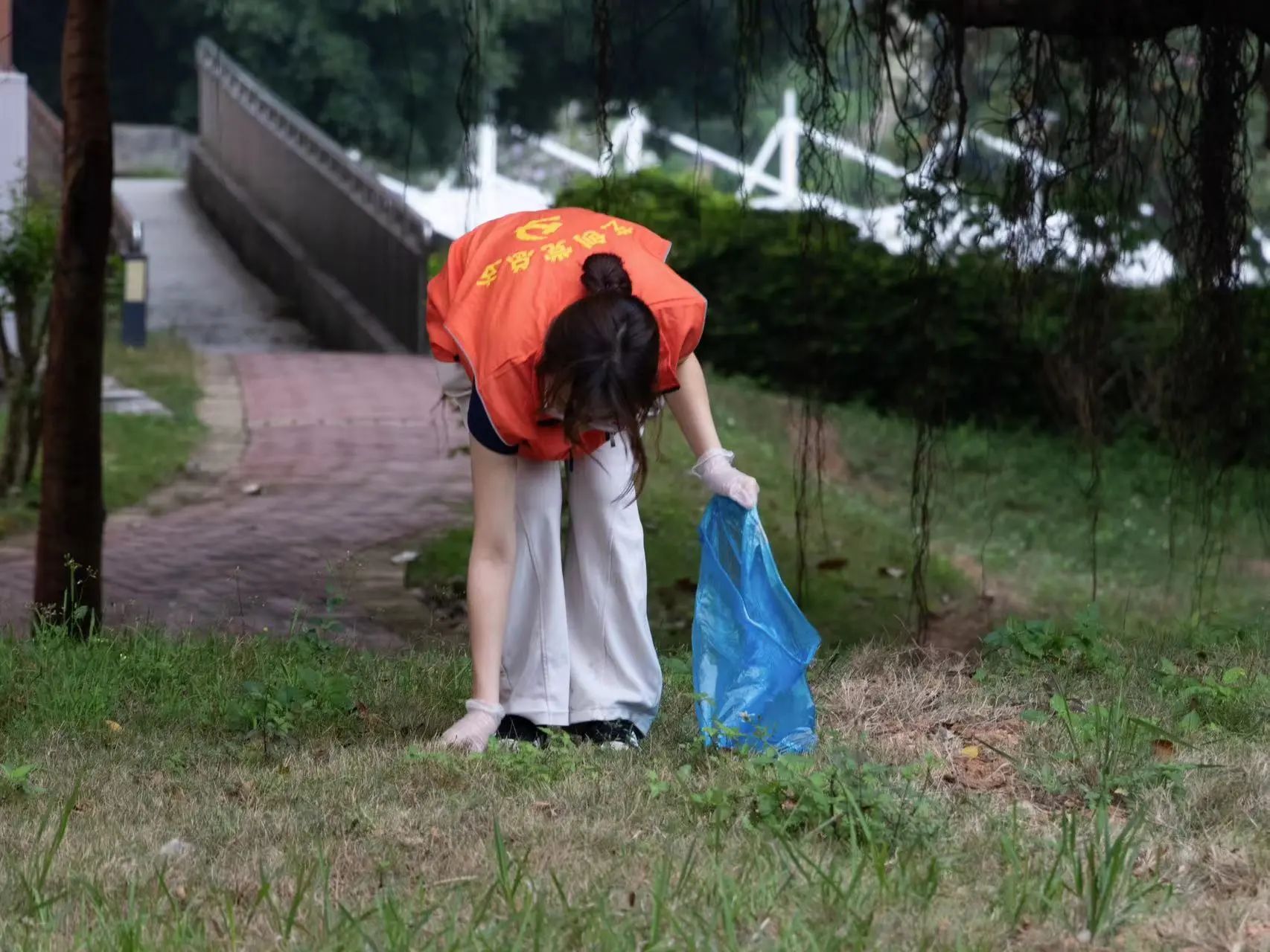 威廉希尔